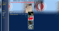 Desktop Screenshot of molmicrobio.metu.edu.tr